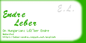 endre leber business card